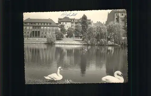 Berlin Inberbauc Schwaene Teich Kat. Berlin