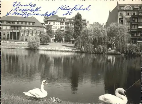 Berlin Lietzensee Schwaene Kat. Berlin