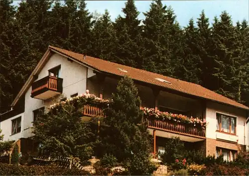 Bad Grund Harz Pension Haus Hubertus  Kat. Bad Grund (Harz)