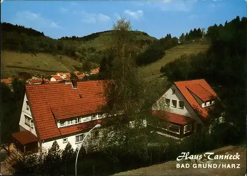 Bad Grund Harz Haus Tanneck W. Lund Kat. Bad Grund (Harz)
