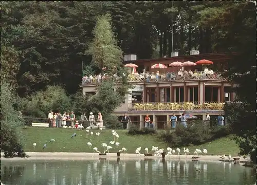 Dortmund Tierpark Raststaette Alfred Beindick Flamingos Kat. Dortmund