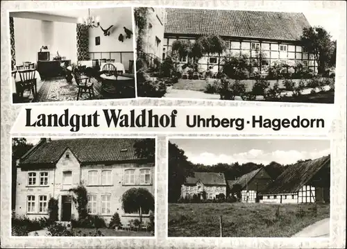 Hagedorn Landgut Waldhof Kat. Steinheim