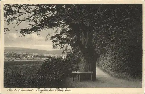 Bad Nenndorf Baum Kat. Bad Nenndorf