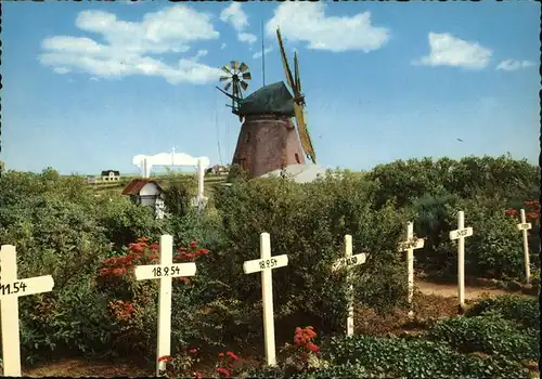 Amrum Friedhof Windmuehle Nebel Kat. Nebel