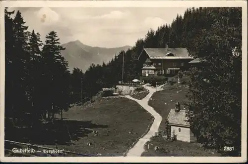 Sudelfeld Berg Hotel  / Bayrischzell /Miesbach LKR