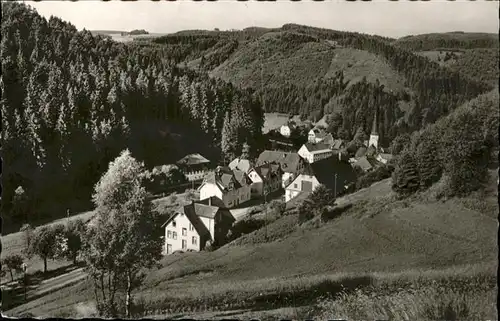 Nussbach Schwarzwald Schwarzwaldbahn / Triberg im Schwarzwald /Schwarzwald-Baar-Kreis LKR