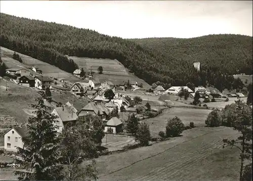 Hammereisenbach-Bregenbach Schwarzwald / Voehrenbach /Schwarzwald-Baar-Kreis LKR