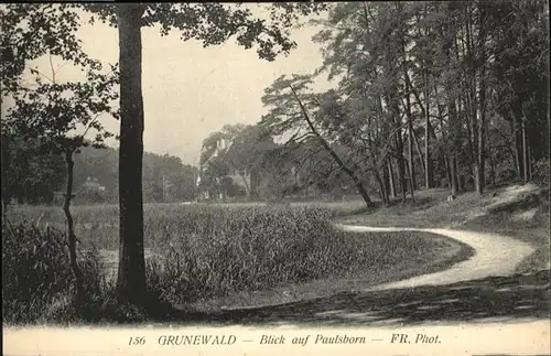 Grunewald Berlin Blick auf Pauslborn / Berlin /Berlin Stadtkreis