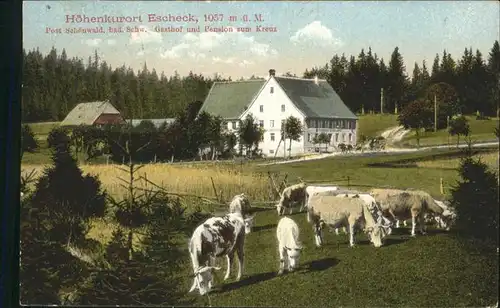 Escheck Schoenwald / Schoenwald im Schwarzwald /Schwarzwald-Baar-Kreis LKR