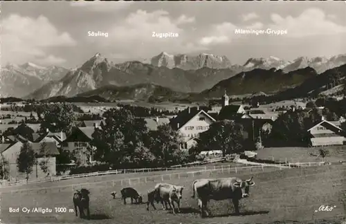 Bad Oy Saeuling Zugspitze Mieminger-Gruppe Kuehe / Oy-Mittelberg /Oberallgaeu LKR