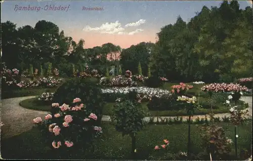 Ohlsdorf Hamburg Rosarium / Hamburg /Hamburg Stadtkreis