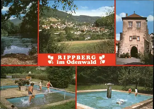 Rippberg Odenwald / Wallduern /Neckar-Odenwald-Kreis LKR