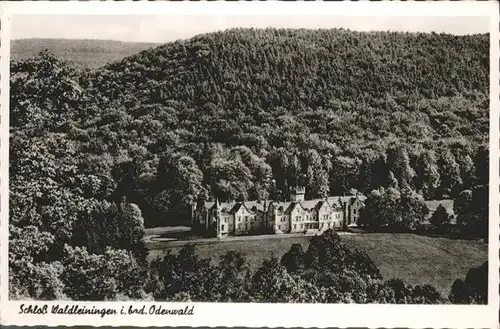 Waldleiningen Pfalz Schloss / Waldleiningen /Kaiserslautern LKR