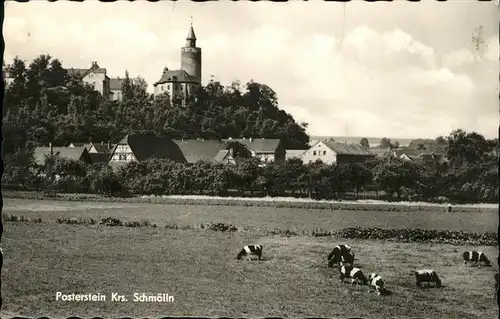 Posterstein Kuehe / Posterstein /Altenburger Land LKR