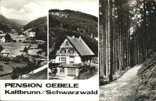 Kaltbrunn Schenkenzell Pension Gebele / Schenkenzell /Rottweil LKR