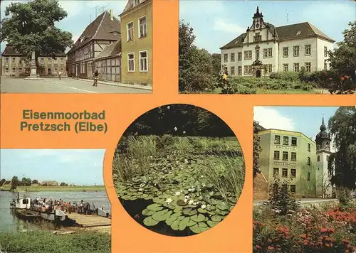 Pretzsch Elbe Eisenmoorbad
Seerosenteich / Bad Schmiedeberg /Wittenberg LKR