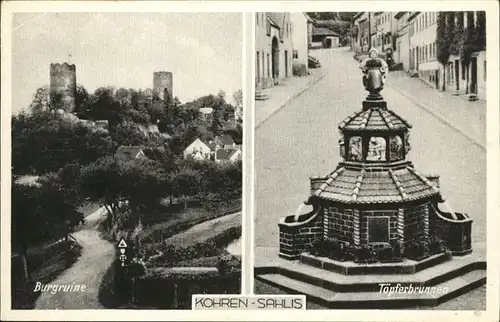 Kohren-Sahlis Burgruine Toepferbrunnen / Kohren-Sahlis /Leipzig LKR