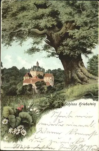 Kriebstein Schloss Kriebstein / Kriebstein /Mittelsachsen LKR
