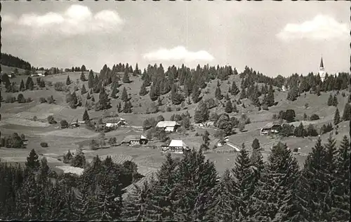 Blasiwald Schluchsee / Schluchsee /Breisgau-Hochschwarzwald LKR