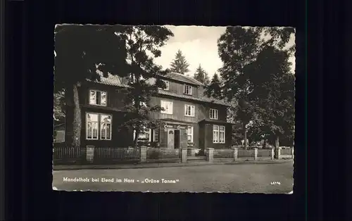 Elend Harz Mandelholz Gruene Tanne / Elend Harz /Harz LKR