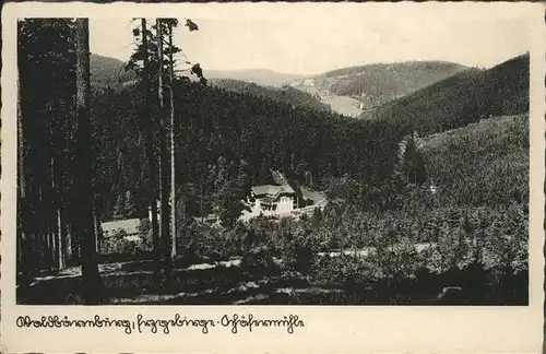 Waldbaerenburg Muehle / Altenberg /Saechsische Schweiz-Osterzgebirge LKR