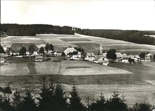 Waldau Titisee-Neustadt Gesamtansicht / Titisee-Neustadt /Breisgau-Hochschwarzwald LKR