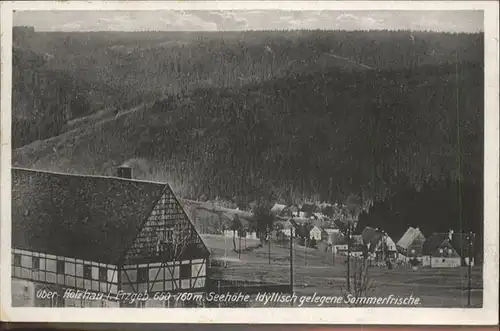 Wolfsgrund Holzhau  / Dorfchemnitz Sayda /Mittelsachsen LKR