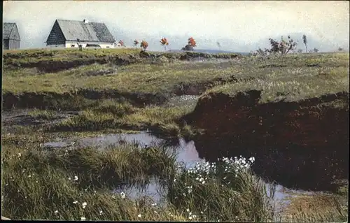 Ruebenau Hochmoor / Marienberg /Erzgebirgskreis LKR