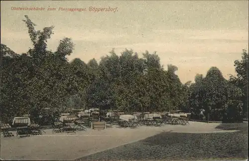 Goeppersdorf Burgstaedt Obstweinschaenke / Burgstaedt /Mittelsachsen LKR