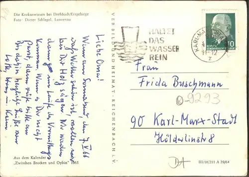 Karl-Marx-Stadt Krokuswiesen Drehbach / Chemnitz /Chemnitz Stadtkreis