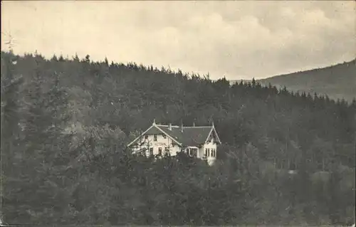 Wolfshagen Harz Kurhaus "Villa Victoria" / Langelsheim /Goslar LKR