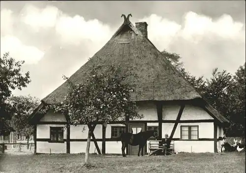 Klockenhagen Museum Giebel Bauernhaus / Ribnitz-Damgarten /Nordvorpommern LKR