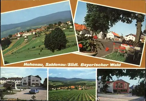 Saldenau Niederbayern Hohenau / Hohenau /Freyung-Grafenau LKR