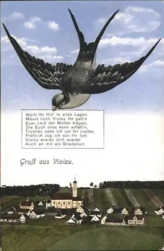 Violau Vogel / Altenmuenster /Augsburg LKR