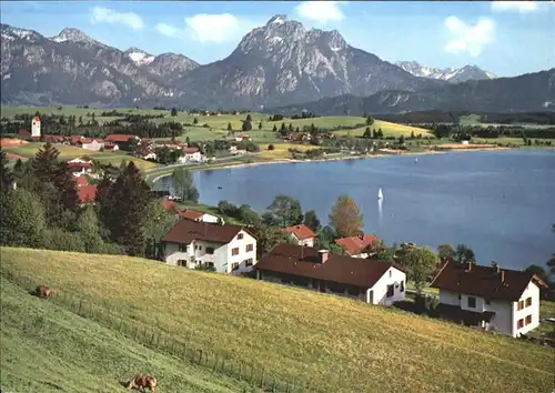 Hopfen See Straussberg Saeuling Tiroler Alpen / Fuessen /Ostallgaeu LKR