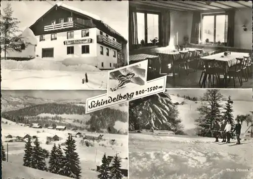 Schindelberg Berg Gasthaus  / Oberstaufen /Oberallgaeu LKR