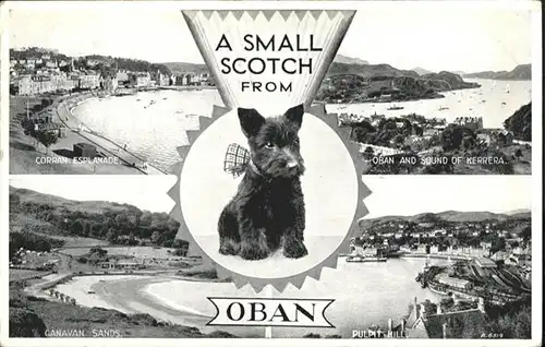 Oban Hund  / Argyll & the Islands LEC mainland /Lochaber, Skye & Lochalsh, Arran & Cumbrae and Argyll & Bute