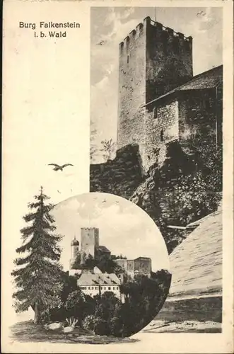 Falkenstein Oberpfalz Burg Falkenstein / Falkenstein /Cham LKR