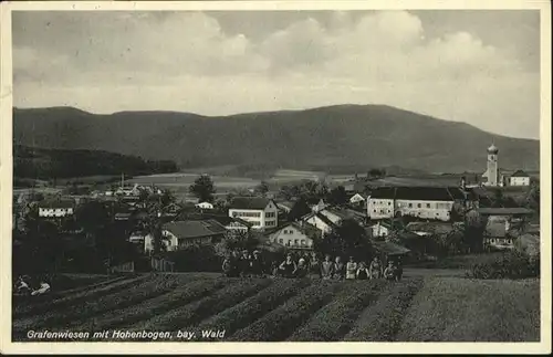 Grafenwiesen Hohenbogen / Grafenwiesen /Cham LKR