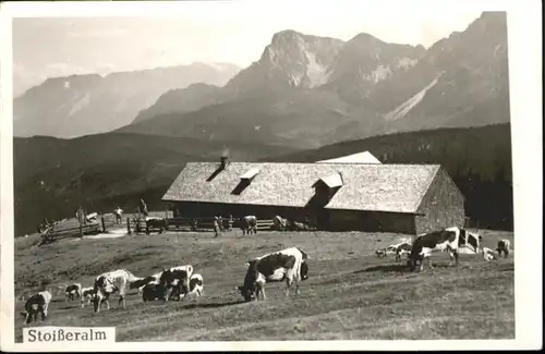 Stoissberg Stoisseralm Kuehe Teisendorf / Anger /Berchtesgadener Land LKR