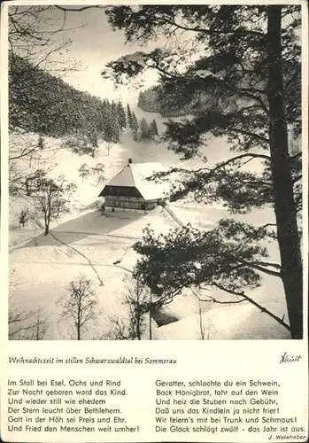Sommerau Bayern Winterliches Schwarzwaldtal / Gerzen /Landshut LKR