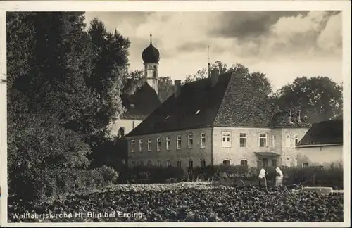 Heilig Blut Wallfahrtskirche / Erding /Erding LKR