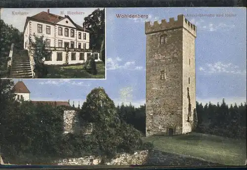 Holle Hildesheim [Stempelabschlag] Wohldenberg Kurhaus Aussichtsturm Ruine