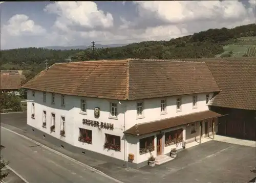 Moesbach Gasthaus Gruener Baum