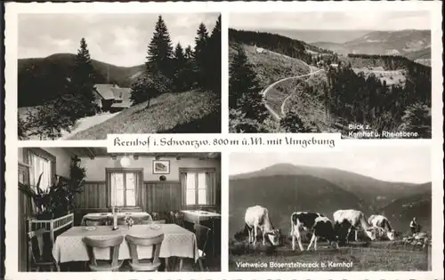 Seebach Ortenaukreis Gasthaus Kernhof