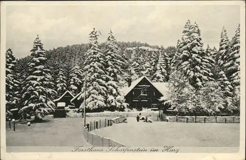 Ilsenburg Harz Forsthaus Scharfenstein / Ilsenburg Harz /Harz LKR