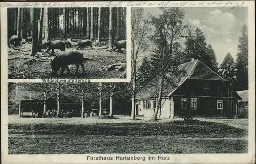 Hartenberg Forsthaus Wildschweinfuetterung