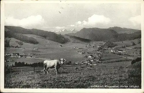 Kleinweiler Hofen Kuh