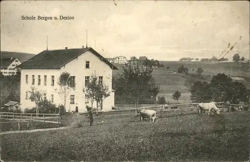 Dezion Schule Bergen Kuehe