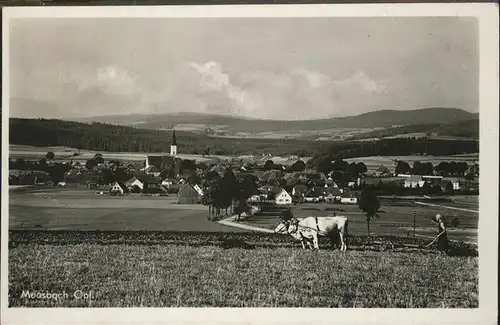 Moosbach Vohenstrauss  / Moosbach /Neustadt Waldnaab LKR